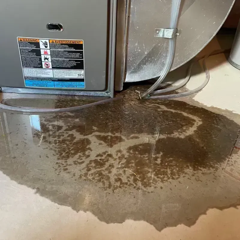 Appliance Leak Cleanup in Webster County, WV